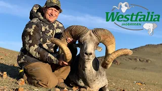 Abenteuer Mongolei - zur Jagd auf Argali und Steinbock mit Westfalia Jagdreisen.