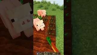 Minecraft Auto Crop Farm😱 #shorts