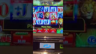 JUMBO WILD SLOT!  🐘🐅🦓 What can we turn our Free Play into?  Advantage play!