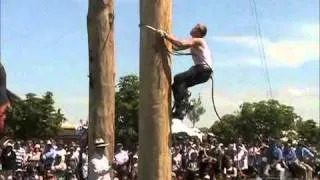 Ridiculousley fast tree climbing!