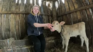 🌚😍Нарешті дочекалися нічну красуню та допомога від Сільської Ради!🤩😏