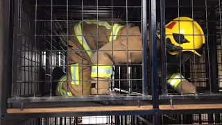 Firefighter Functional Test: Confined Space