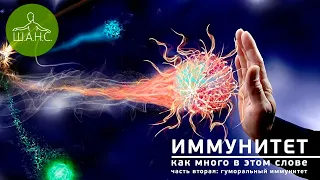 Иммунитет. Часть 2. Гуморальный иммунитет.