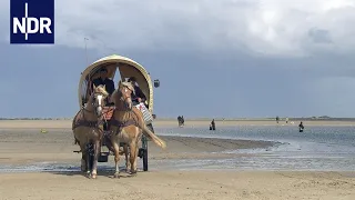 Borkum: Das Leben auf der Ostfriesischen Insel | die nordstory Spezial | NDR