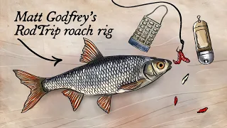 Roach Fishing Feeder Setup Explained | RodTrip Rigs 🎣