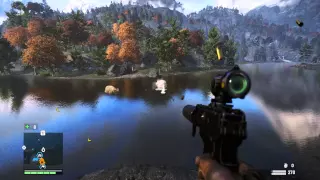 Far Cry 4 Stinger