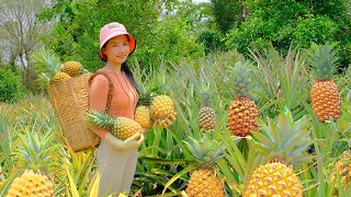 Harvest Pineapples & Go sell at the Market - Prepare Dishes From Pineapple | Thu's Country Life
