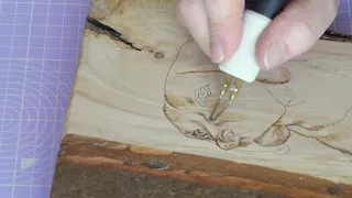 Pyrography tutorial. Advanced pyrography course. Tips for those who already pyrography on wood.