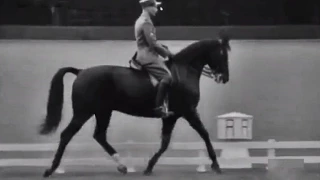 1963 Doma Clásica Caballos - Dressage horses Bagatelle Paris Josef Neckermann Henri Chammartin
