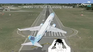 How to Land the PMDG 737 by a Real 737 Captain
