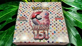 Our FIRST Imported Japanese Pokemon 151 Booster Box Opening!