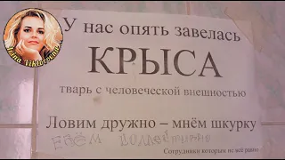 Крысиные бега, или скованные одной цепью