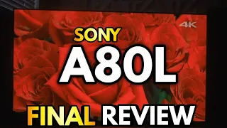 Sony A80L Final Review