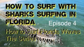 How to Surf Florida Waves, Episode 4, What About All Those Sharks?  Dealing with Sharks in the Wild