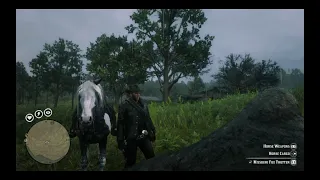 RDR2 - Getting Missouri Fox Trotter With Arthur in Arcadia for Amateurs Part III - Patch 1.26 - IV