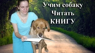 Дрессировка собаки: Учимся читать книгу!!!