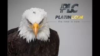 Успей закупить PLATINCOIN по низкой цене!