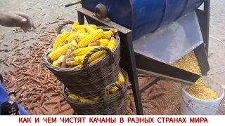 УНИКАЛЬНЫЕ ПРИСПОСОБЛЕНИЕ ДЛЯ ЧИСТКИ КУКУРУЗЫ З РАЗНЫХ СТРАН МИРА #1 / HOW AND WHAT IS CORN CLEANED