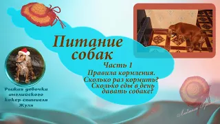 Питание собак. ч.1. Правила кормления...