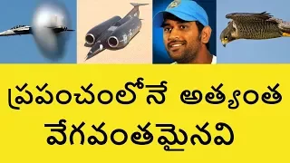 Top Fastest Things in the World in Telugu | Telugu Badi