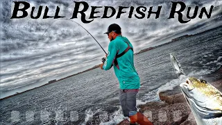 The BULL REDFISH run in Port Aransas (Catching GIANTS off the NORTH JETTY)