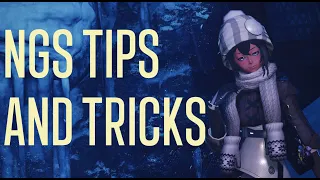 NGS Tips and Tricks for NEW and OLD players