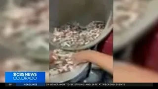 Colorado business pays debt with more than 3 tons of coins