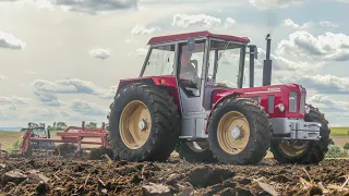 Schlüter und Oldtimertreffen Watzum 2023 | Best of Sound / Schlüter 1500/ IHC 956, 946/ MB Trac 1500