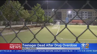 Teen found dead of overdose at Hollywood school, 3 others hospitalized