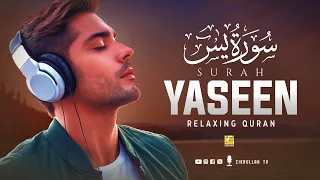 Surah Yasin (Yaseen) سورة يس | Rejuvenate Your Heart with Relaxing Recitation | Zikrullah TV