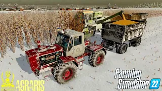 ✅RP / FS 22 / GATHERING CORN IN WINTER / VILLAGE MLYNYSKA FOR FARMING SIMULATOR 22