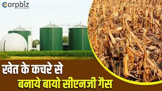 How to Make Bio CNG From Agricultural Waste? | Bio CNG | खेत के कचरे से Bio CNG बनाये | Corpbiz