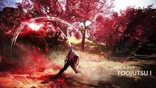 FOOJUTSU I - AWK Ninja PVP BDO