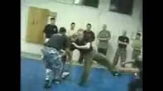Systema Russian Martial Art Beyond the Physical БОЕВЫЕ ИСКУССТВА