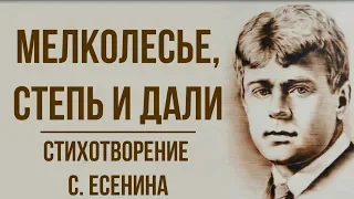 «Мелколесье, степь и дали» С. Есенин. Анализ стихотворения