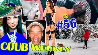 Coub Weekly # 56 Лучшее за неделю. ( Подборка коуб приколов 2016 )