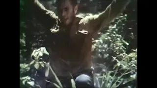 Papillon TV Trailer 1973