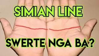 ANO ANG UGALI AT KAPALARAN NG MGA MAY SIMIAN LINE SA PALAD? NAPAKASWERTE NGA BA?(PALMISTRY)