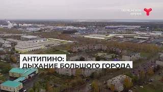 Антипино: дыхание большого города