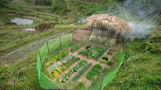Techniques Gardening and sowing seeds, Building a free farm, Daily life #Trieumuihoa