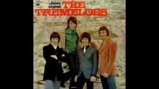 The Tremeloes  Loving You Is Sweeter Than Ever