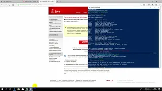 Генерация отчетов Allure в связке с Pytest. (Python/Selenium)