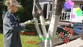 385. Дачный Сезон ОТКРЫТ😘🌹😜👋🌞/Баня/Утятник🐥🐤🐣