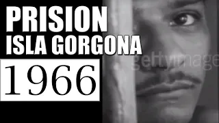 1966  PRISION ISLA GORGONA - DOCUMENTAL