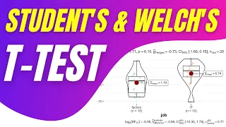 R demo | Two-Samples t-Test | Student’s & Welch’s | How to conduct, visualise, interpret & more 😉