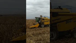 Harvesting corn with a Sampo combine in Macedonia