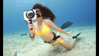 Seafrogs A6xxx 'Salted Line' Underwater Housing Review