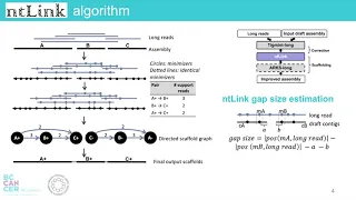 LongStitch: High-quality genome assembly... - Lauren Coombe - HitSeq - Poster - ISMB/ECCB 2021