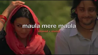 maula mere maula (slowed + reverb) [anwar]
