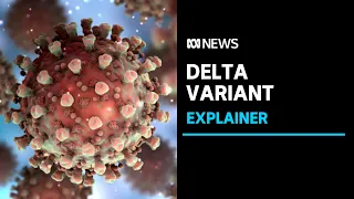 What is the Delta variant of COVID-19? | ABC News